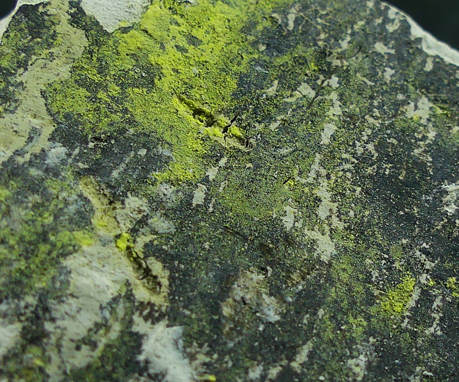 Tyuyamunite & Sepiolite