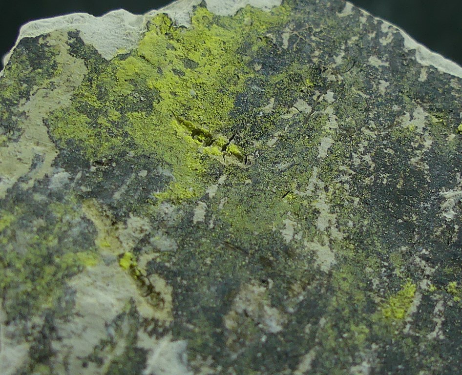 Tyuyamunite & Sepiolite