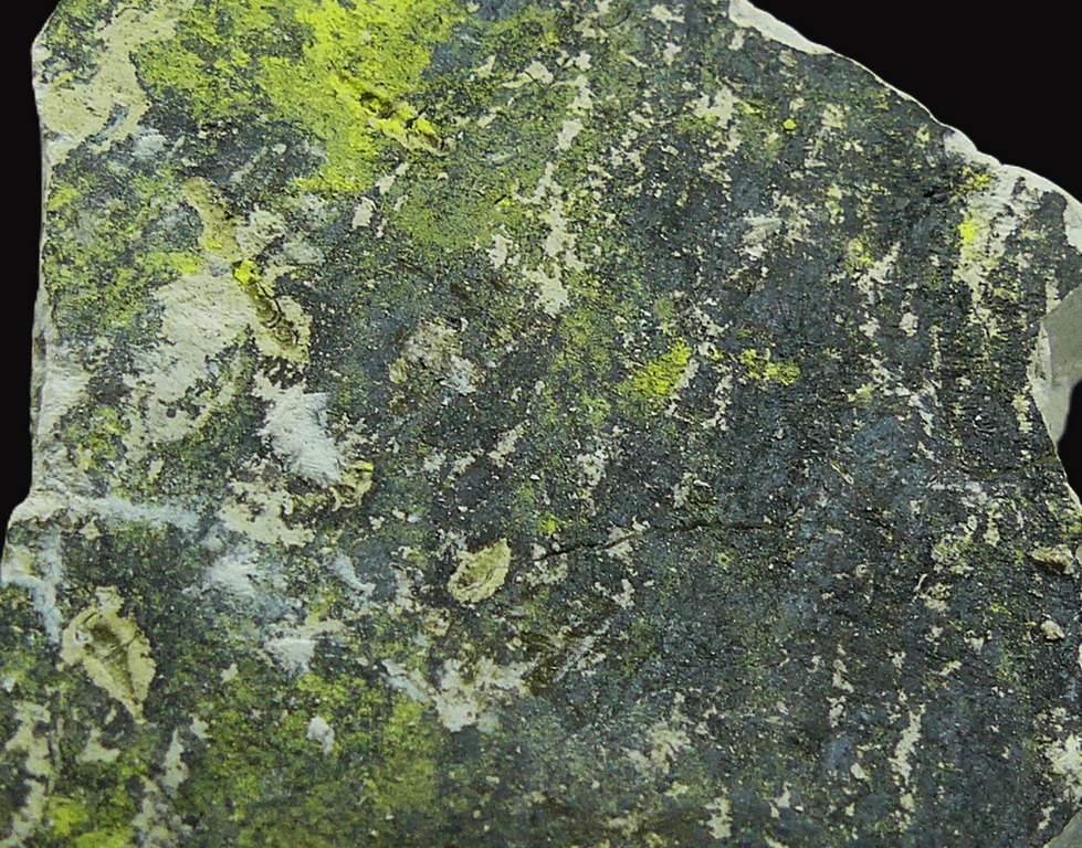 Tyuyamunite & Sepiolite
