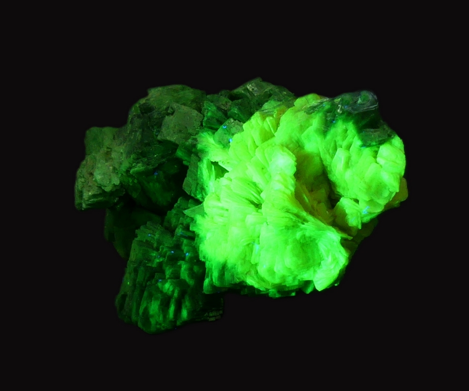 Torbernite & Autunite