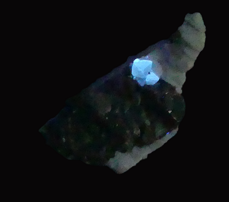 Scheelite & Spessartine