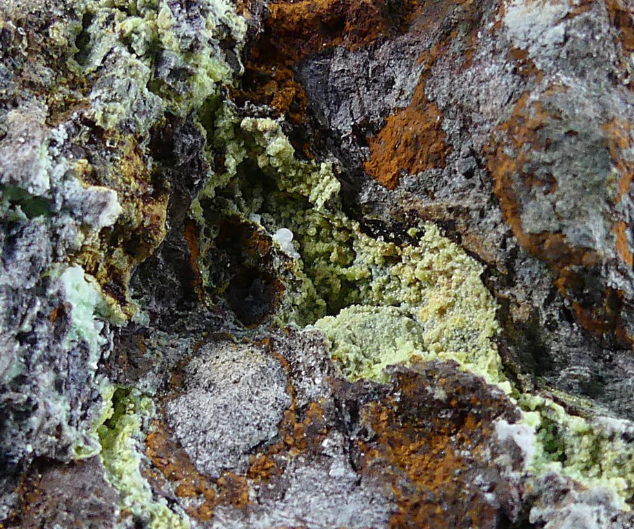 Montgomeryite & Tinticite