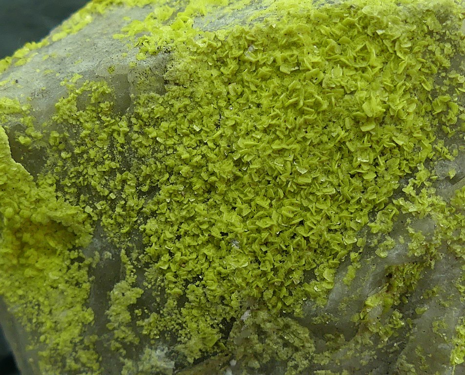 Autunite