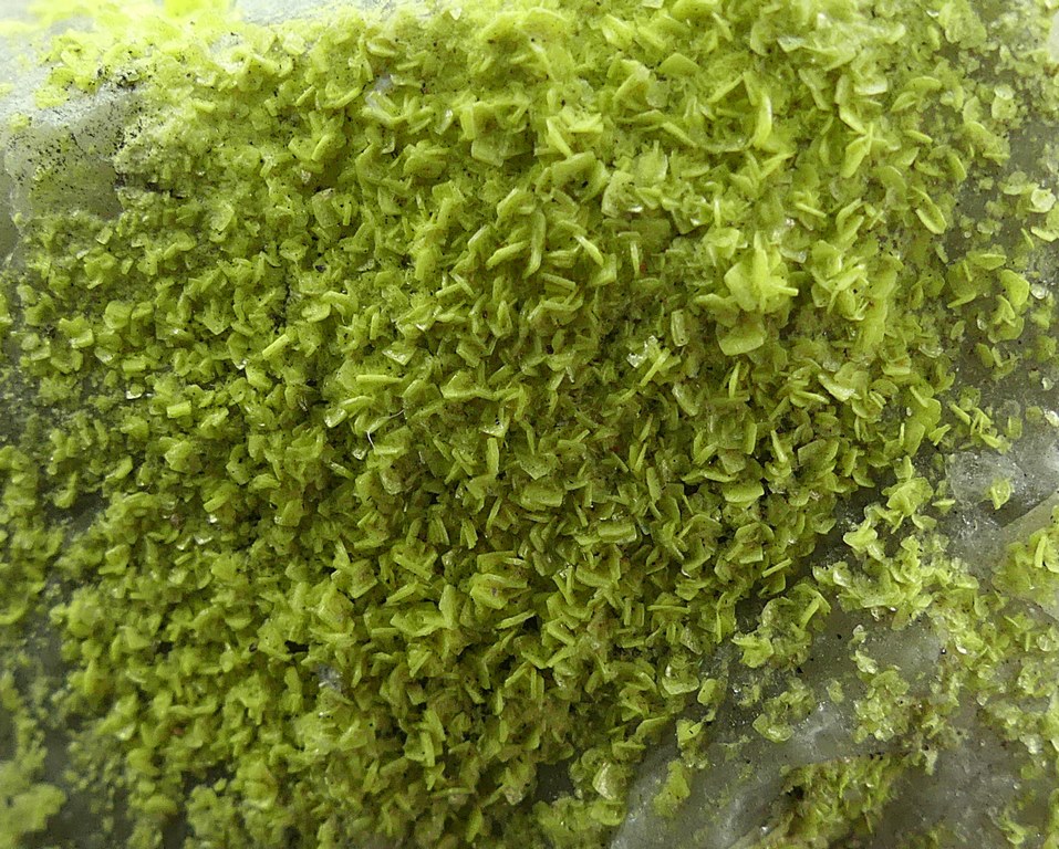 Autunite