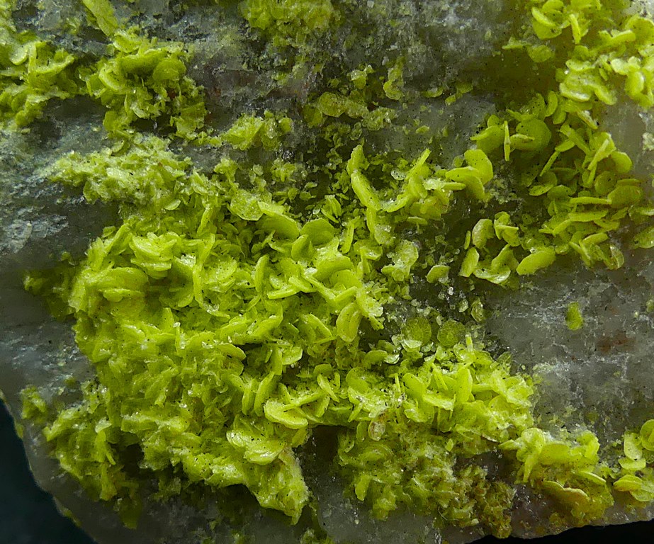 Autunite