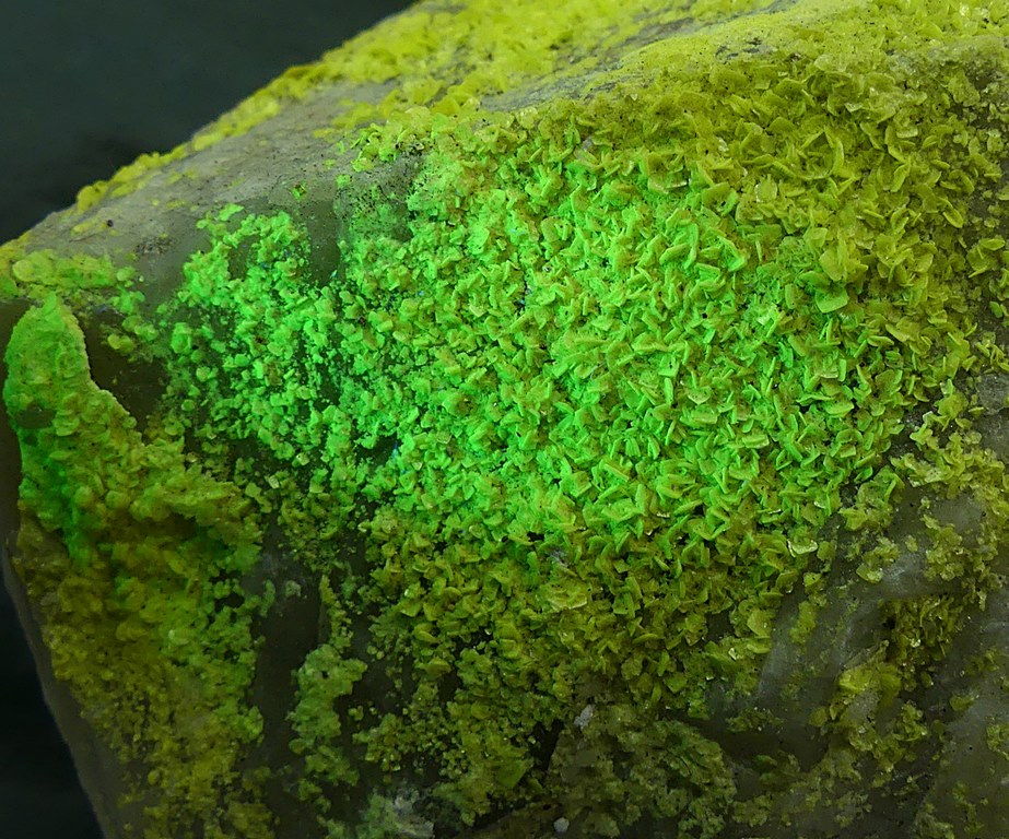 Autunite