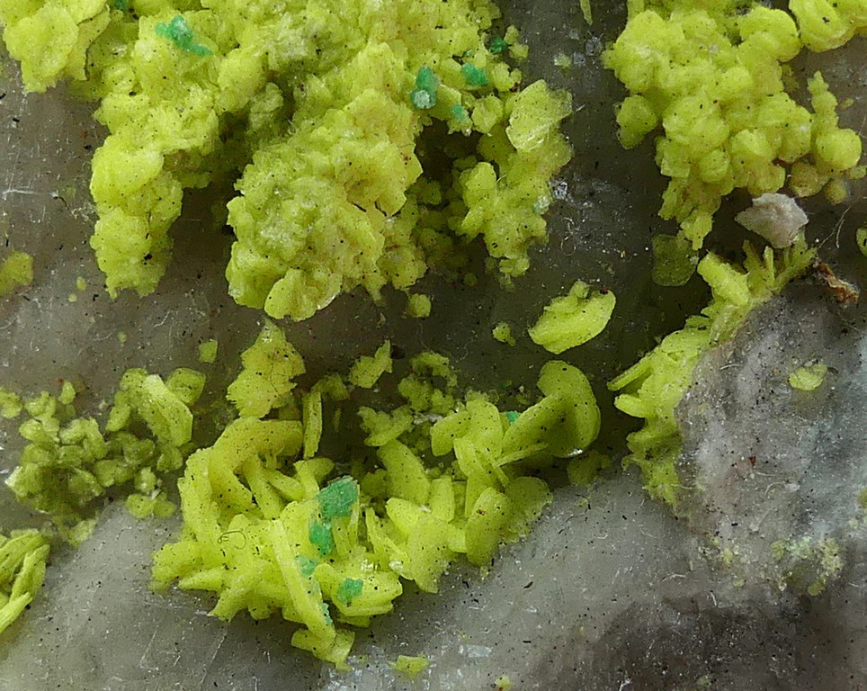 Autunite
