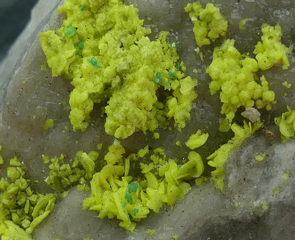 Autunite