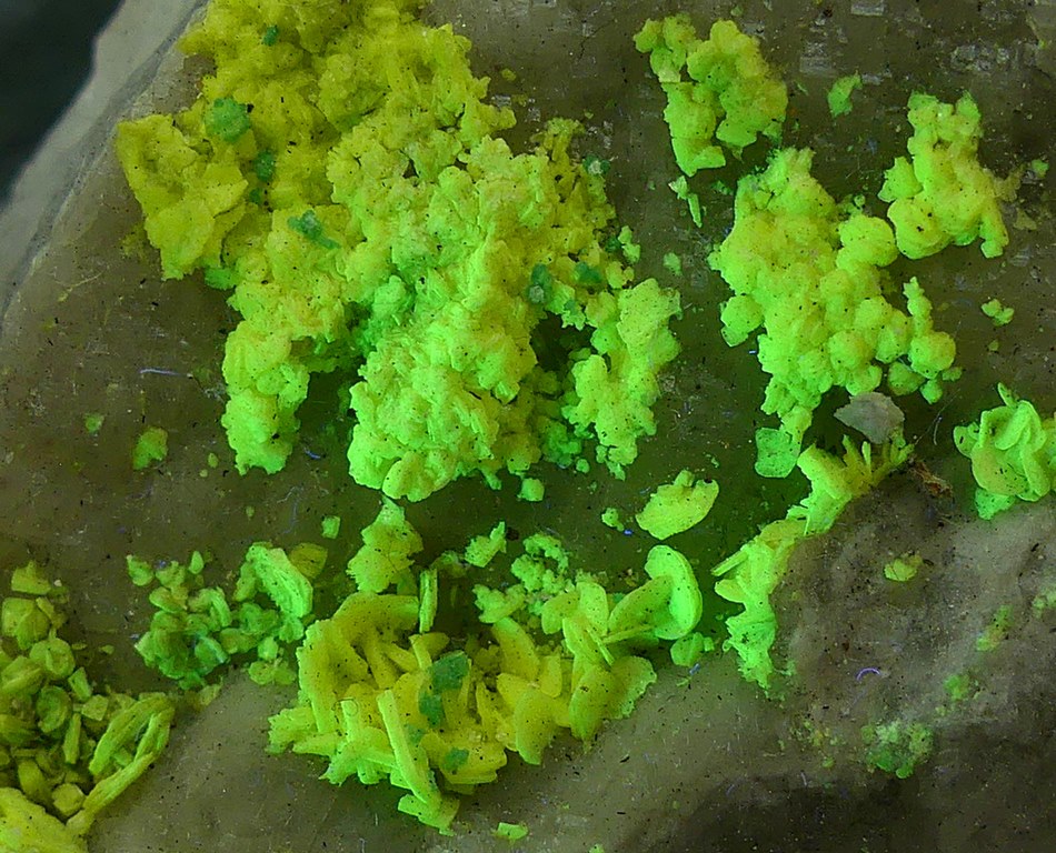 Autunite