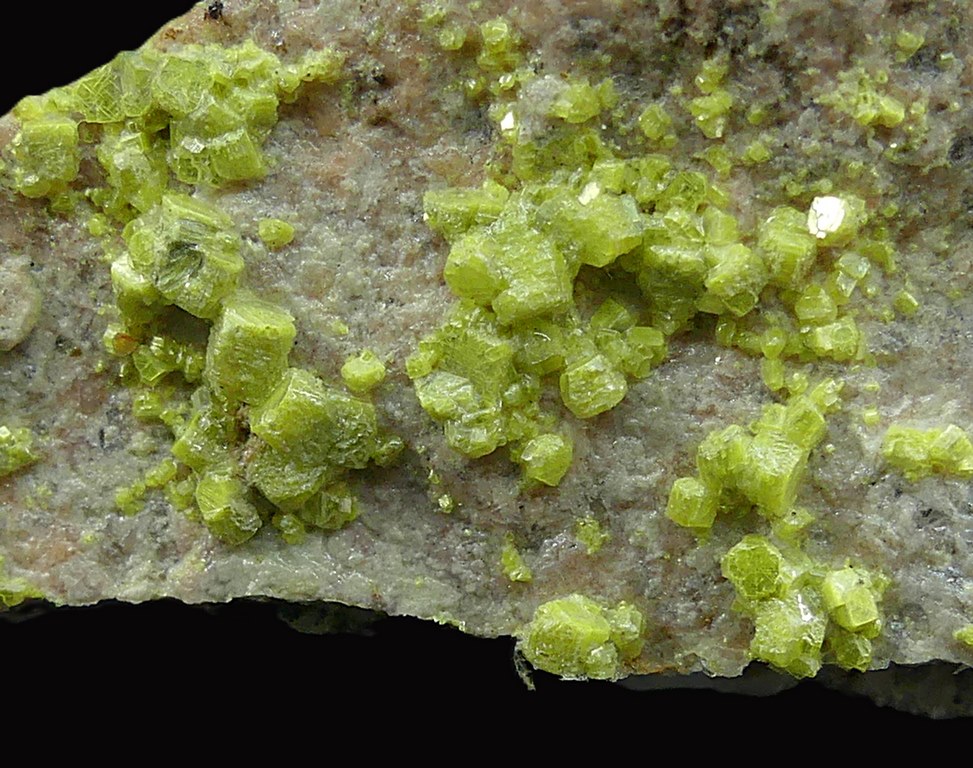 Autunite