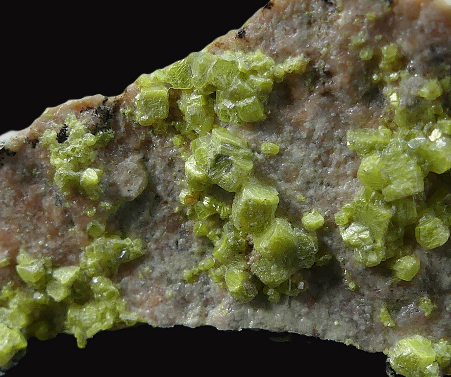 Autunite