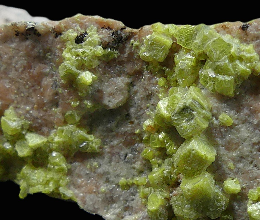 Autunite