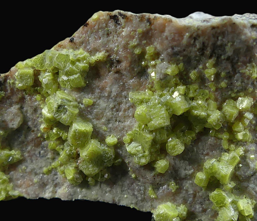 Autunite
