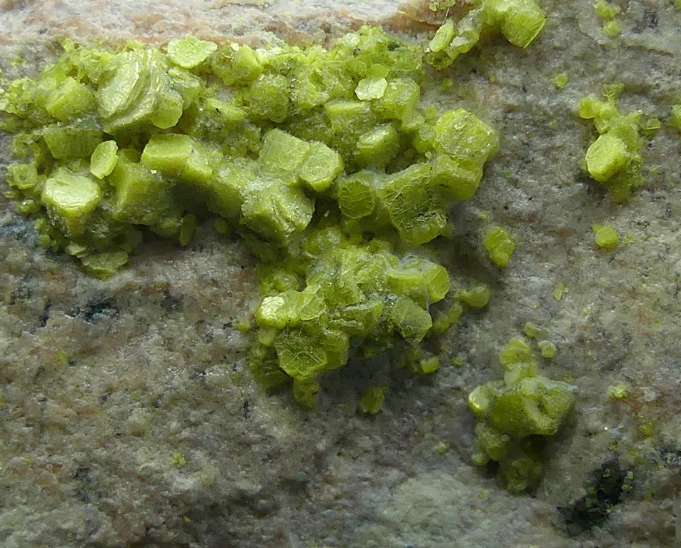 Autunite