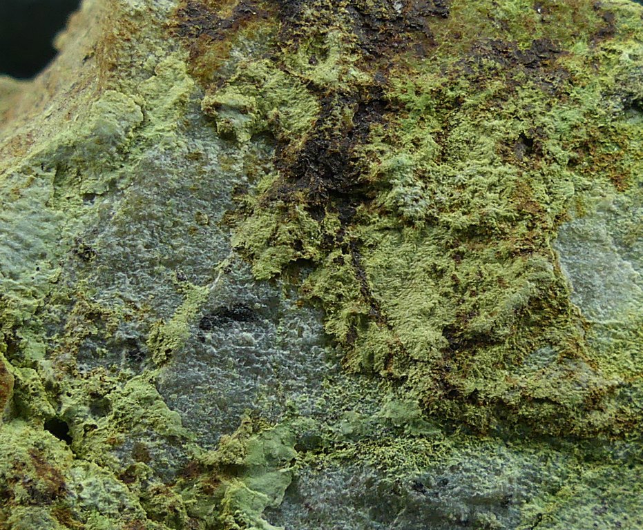 Barahonaite-(Fe) & Olivenite
