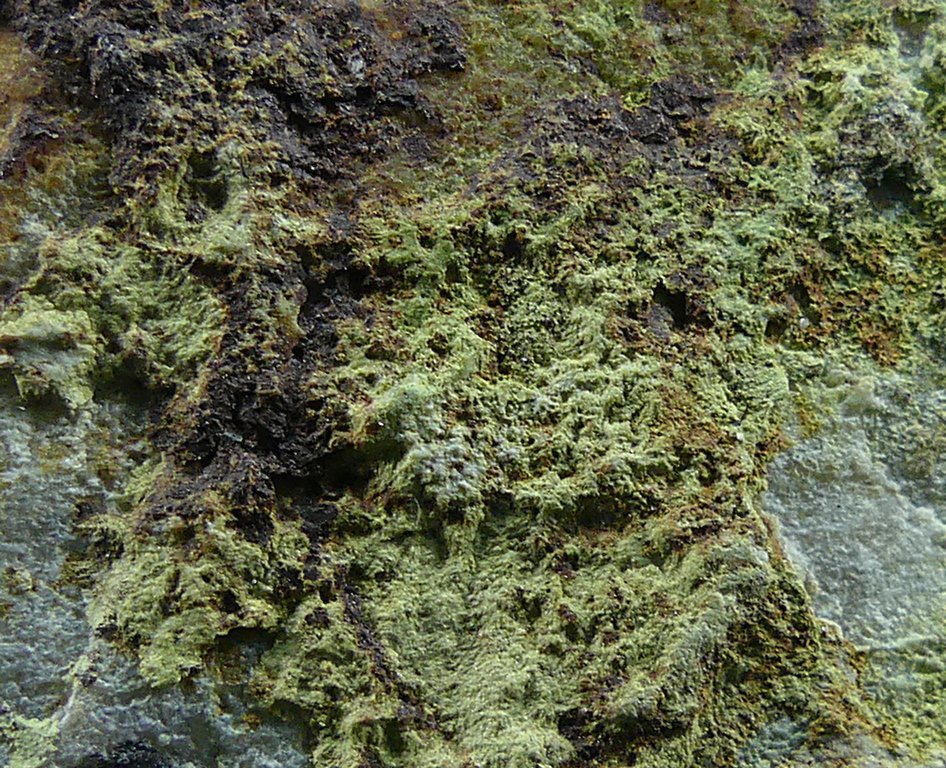 Barahonaite-(Fe) & Olivenite