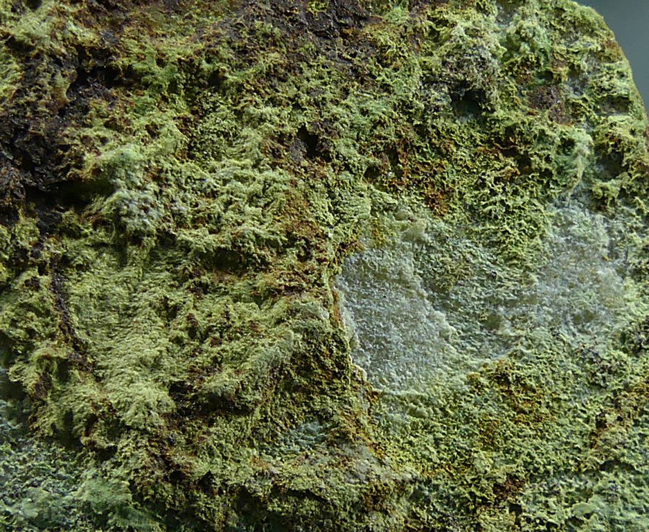 Barahonaite-(Fe) & Olivenite