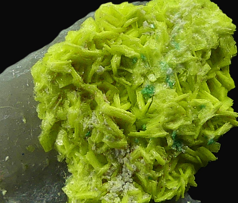Autunite