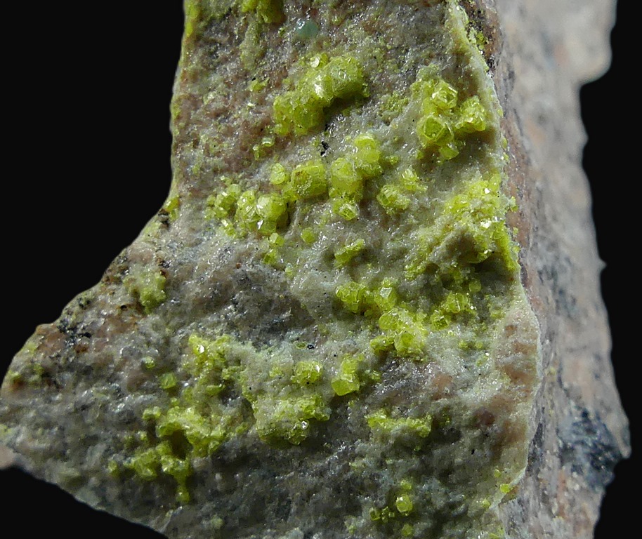 Autunite