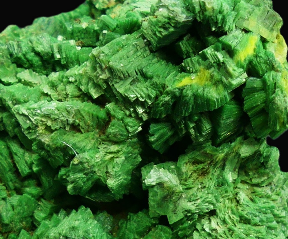 Torbernite & Autunite