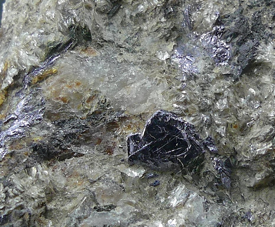 Molybdenite & Ferberite