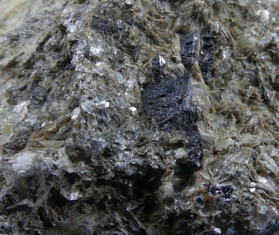 Molybdenite & Ferberite