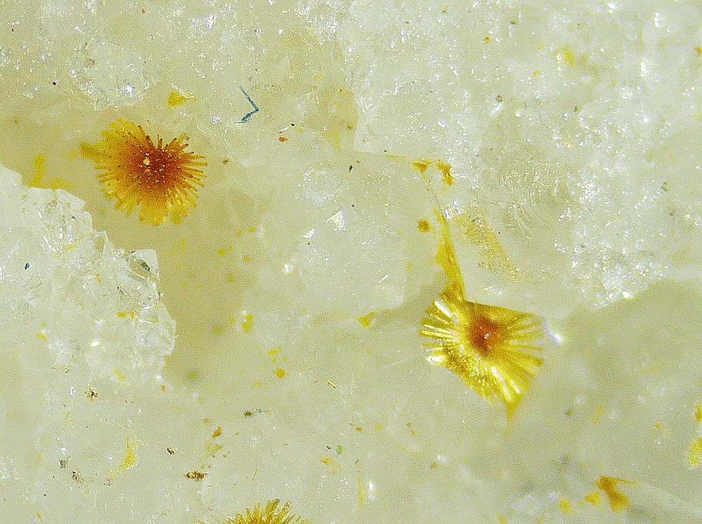 Cacoxenite