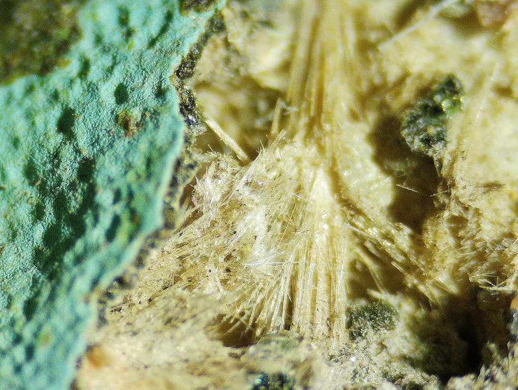 Mordenite Nontronite & Celadonite