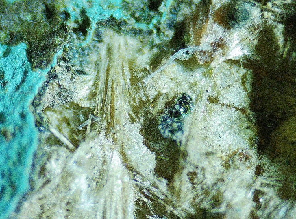 Mordenite Nontronite & Celadonite