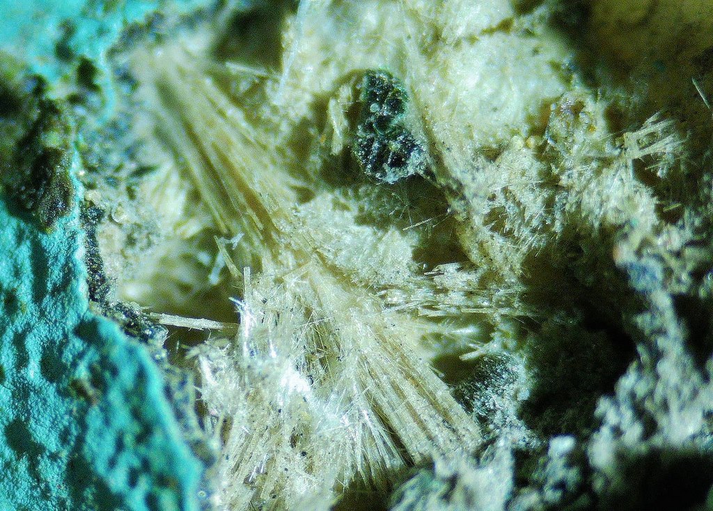 Mordenite Nontronite & Celadonite