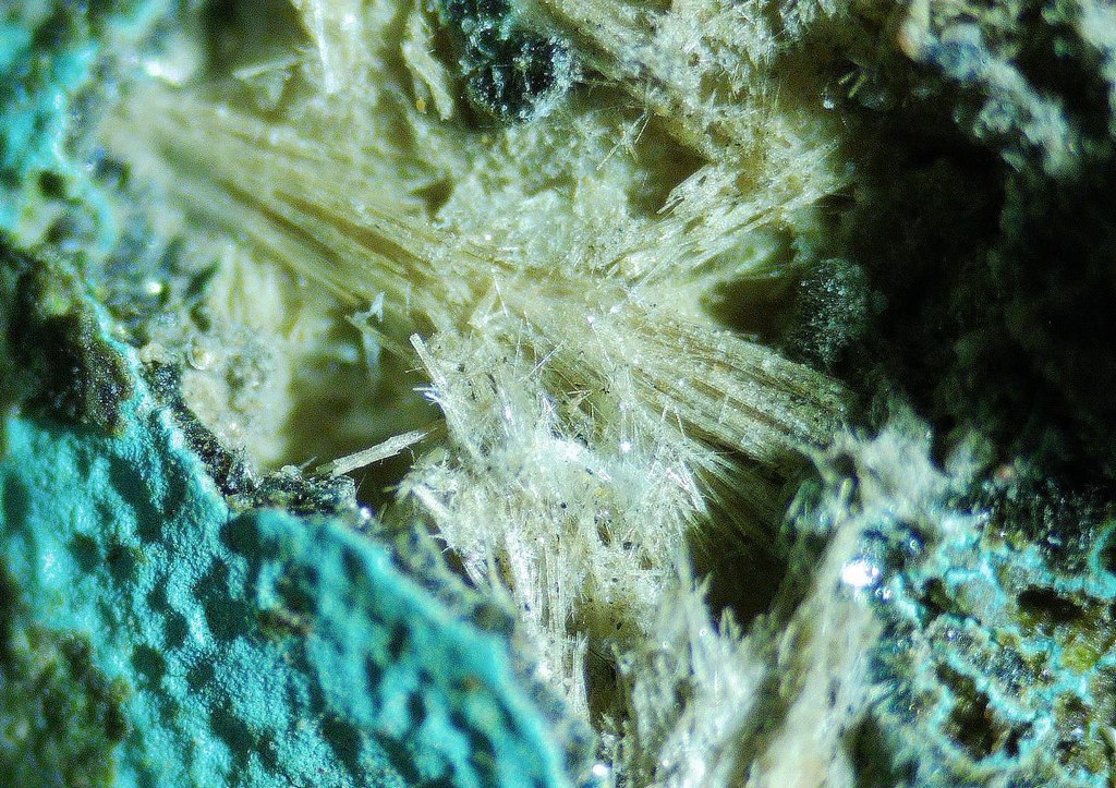 Mordenite Nontronite & Celadonite