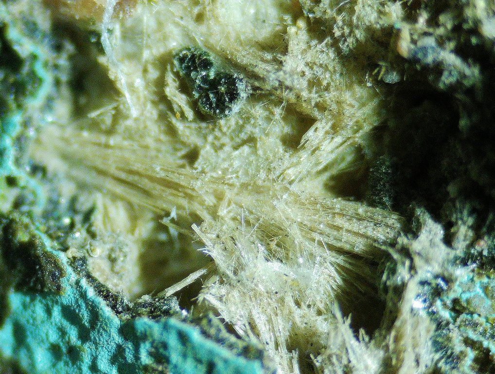 Mordenite Nontronite & Celadonite