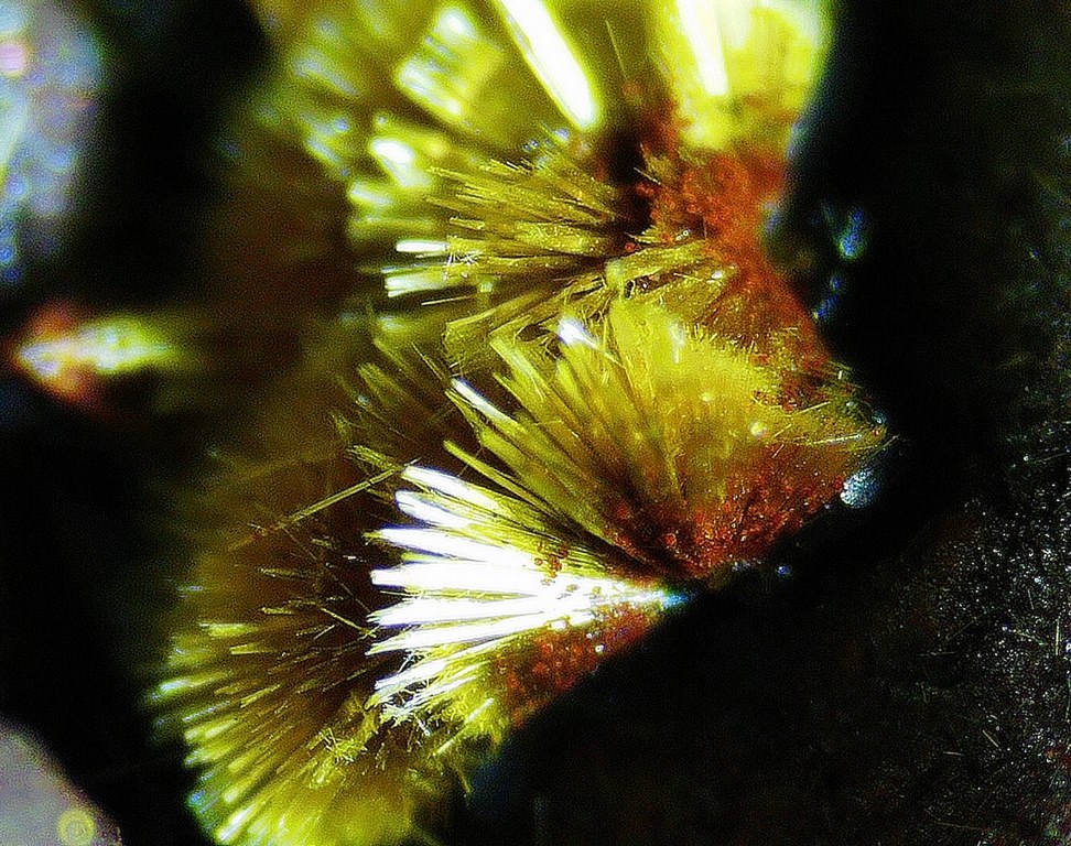 Cacoxenite