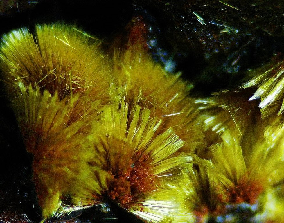 Cacoxenite