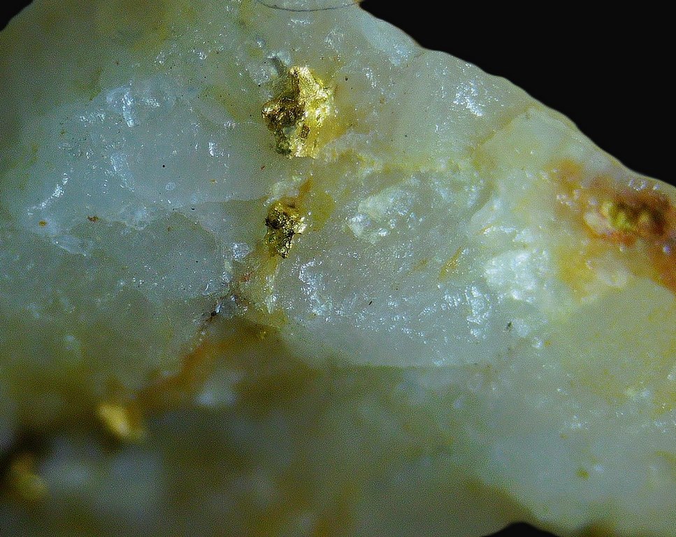 Native Gold & Quartz