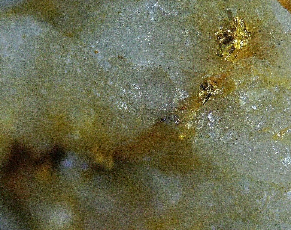 Native Gold & Quartz