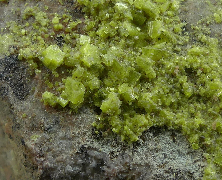 Autunite