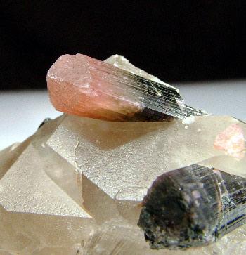 Tourmaline Var Liddicoatite & Quartz