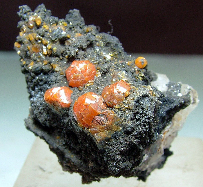 Campylite