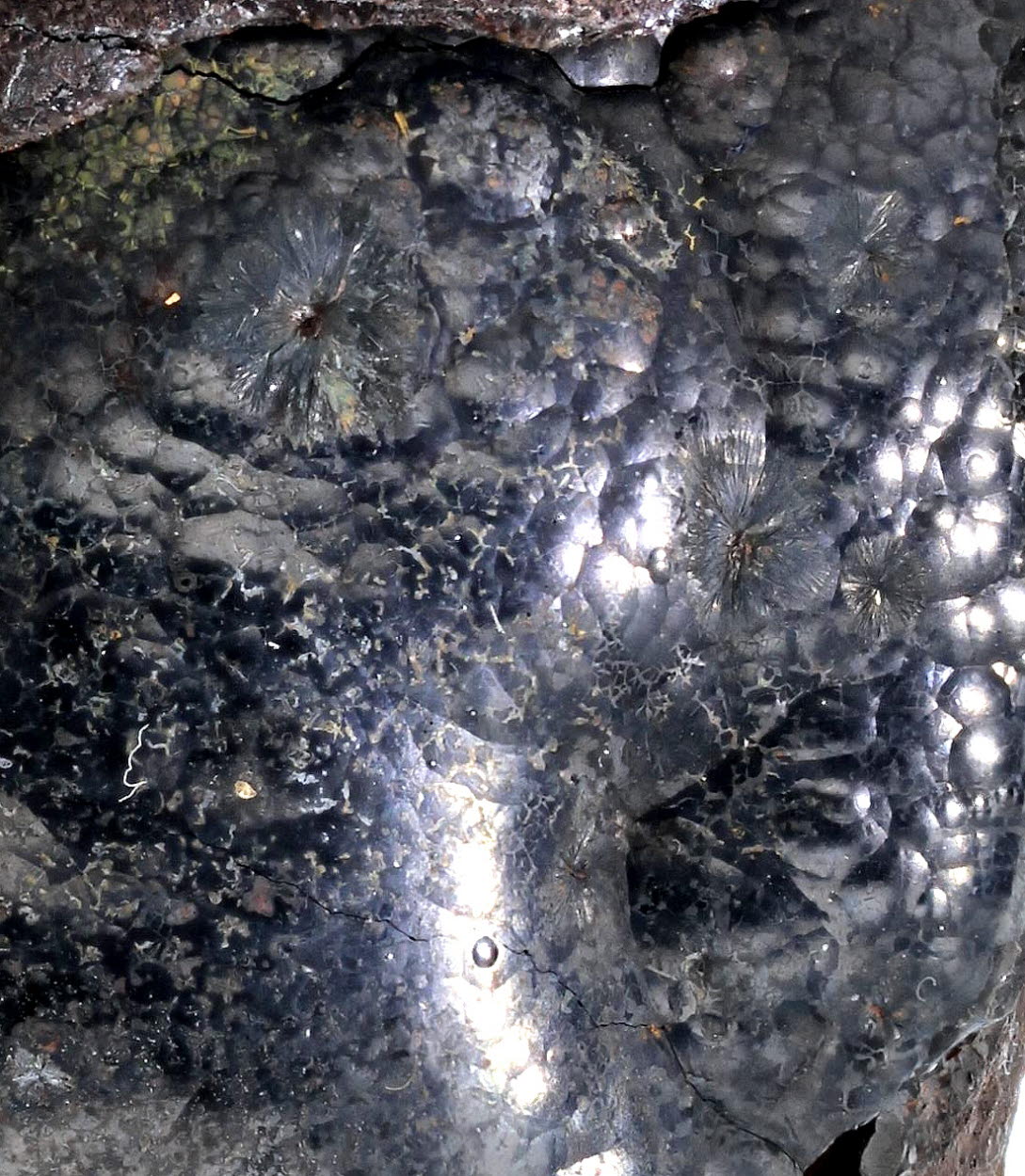 Limonite Var Glaskopf