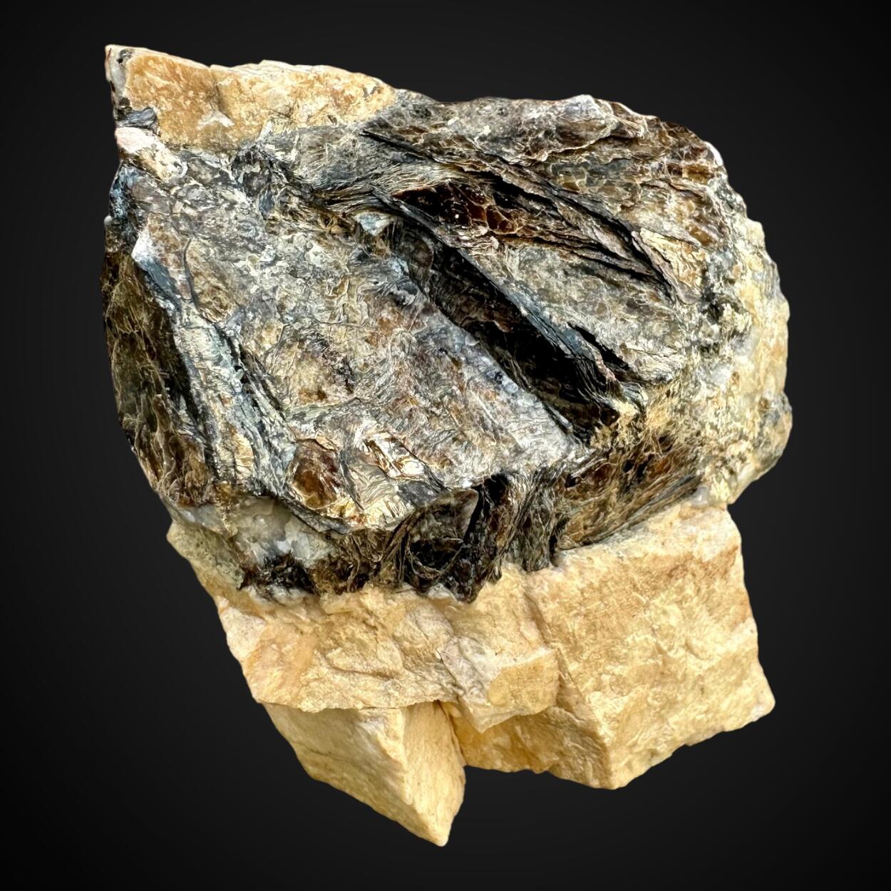 Biotite