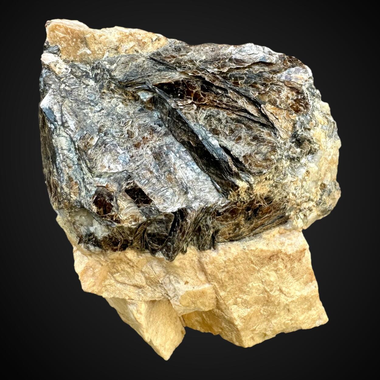 Biotite