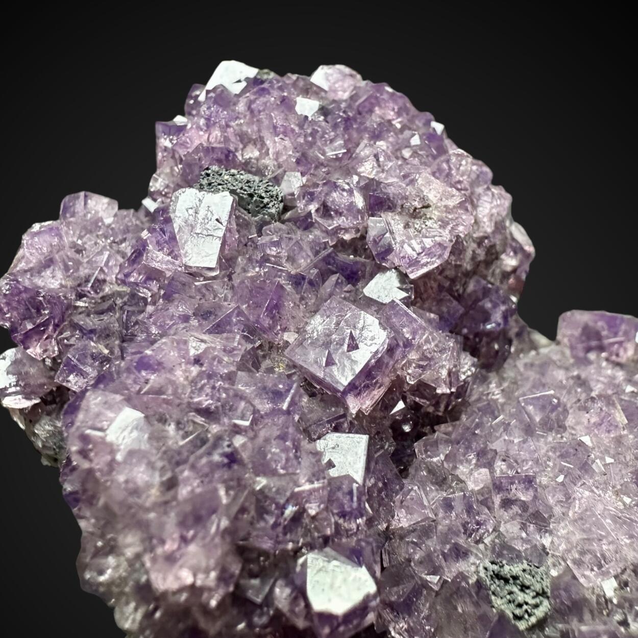 Fluorite & Galena