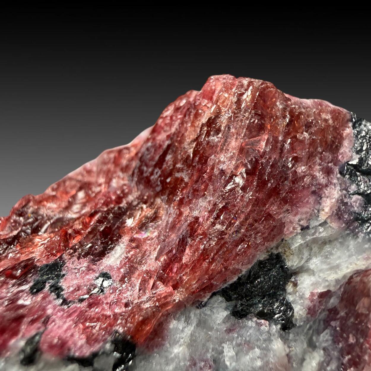 Eudialyte