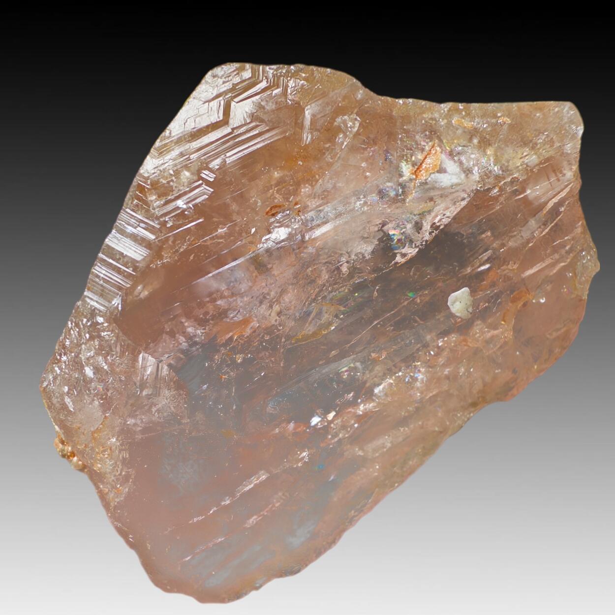Morganite