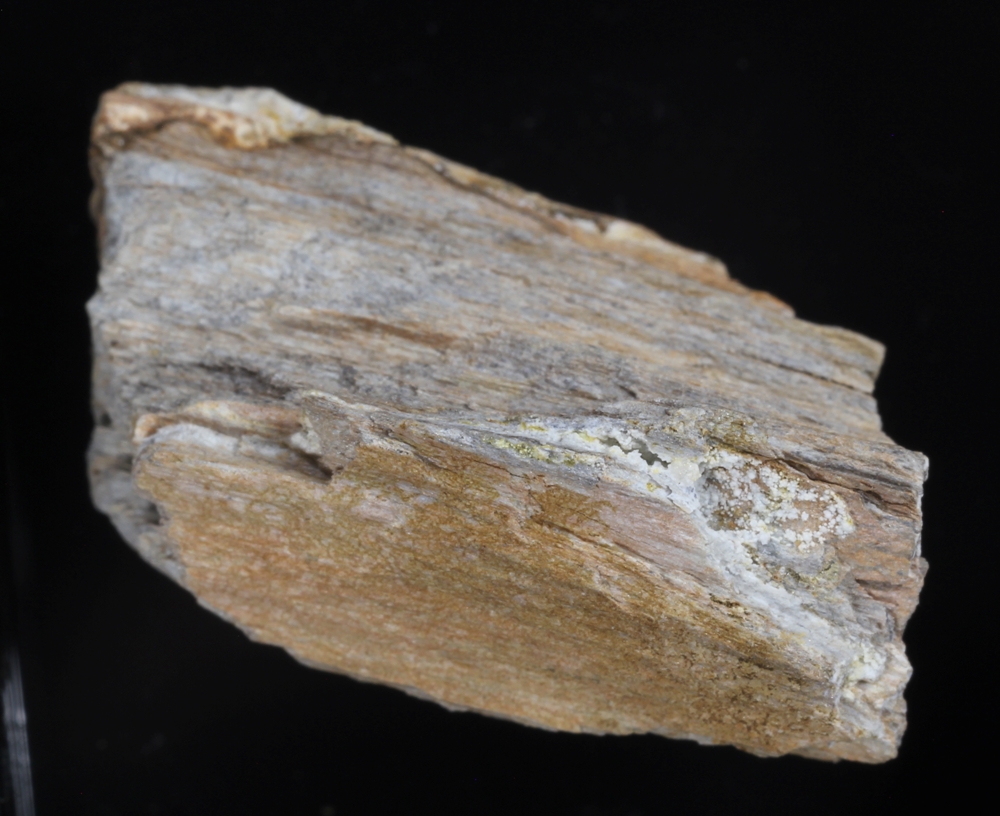 Matulaite