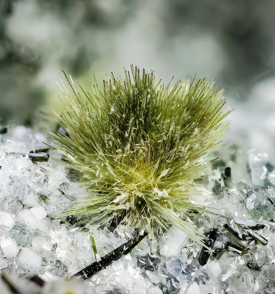 Tuperssuatsiaite With Villiaumite & Aegirine