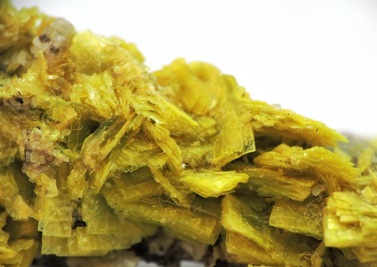 Autunite