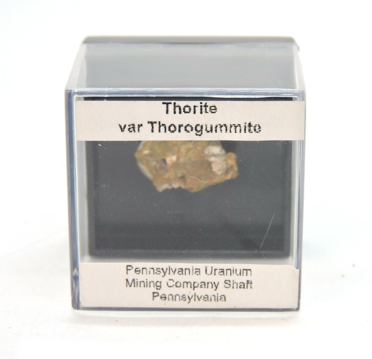 Thorite Var Thorogummite