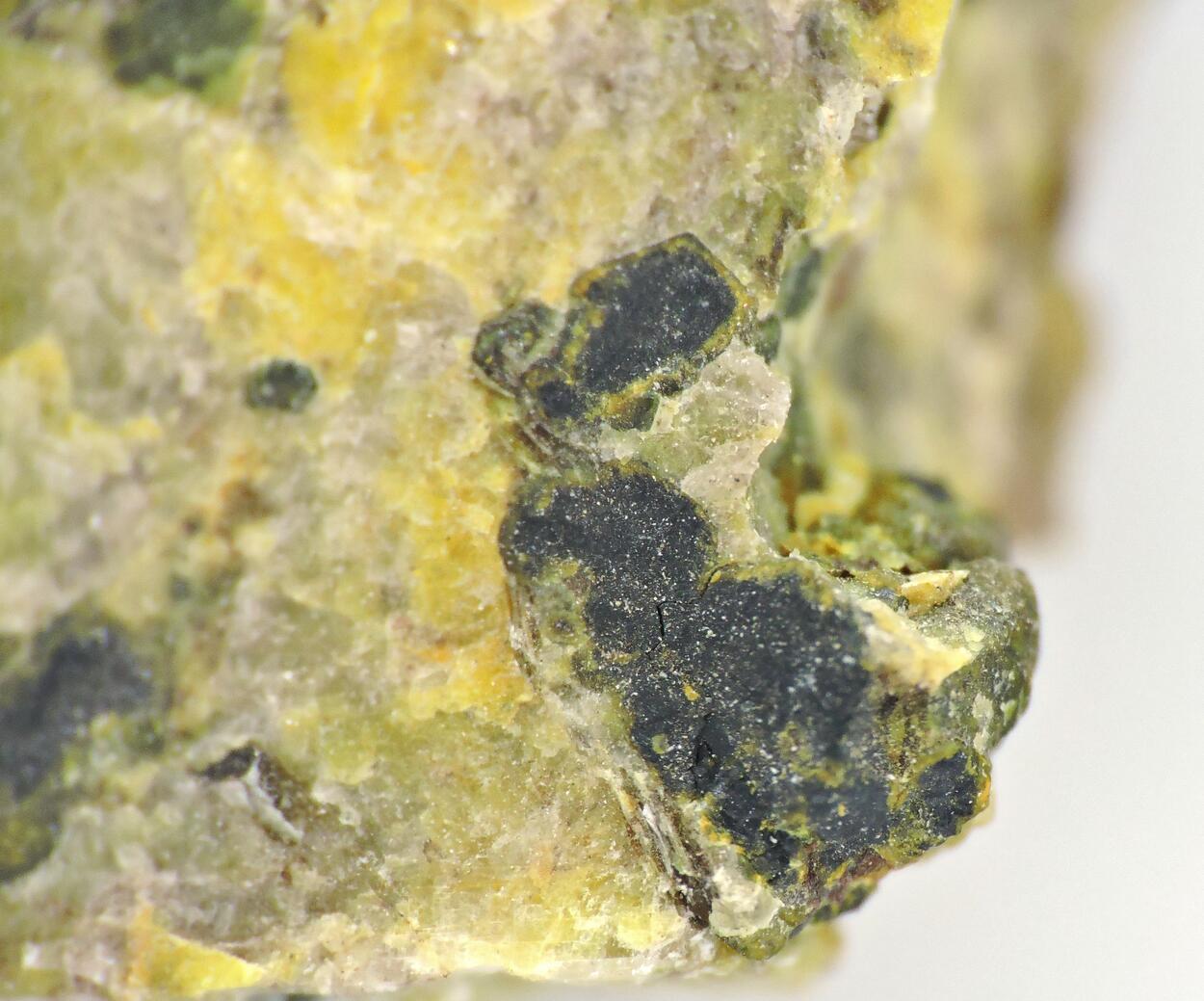 Uraninite & Parauranophane & Soddyite